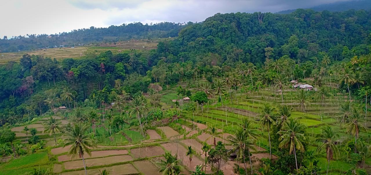 Hotel Green Rinjani Guest Houst Senaru Exterior foto
